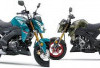 Harga Kawasaki Z125 2026 Mei Resmi Terungkap, Motor Naked Mini Ini Bikin Rider Pemula Langsung Kepincut!