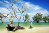 6 Tempat Wisata di Aceh Barat, Siap Memanjakan Mata Para Wisatawan dengan Pesona Keindahannya!