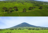 Menghadapi Medan Berat di Gunung Dempo, Panduan Pendakian untuk Petualang!