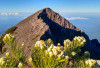 Menguak Legenda dan Keindahan Gunung Raung, Surga Tersembunyi di Bondowoso