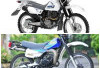 Suzuki TS 125 2026 Reborn, Motor Trail Legendaris dengan Sentuhan Modern, Mesin Lebih Sangar, Ini Speknya!