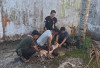 Semangat Berbagi di Hari Raya, Pagaralam Pos Qurban 1 Ekor Kambing