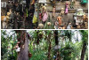 Pulau Boneka Misterius di Meksiko, Destinasi Seram yang Bikin Merinding Sejak Pandangan Pertama!