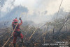 Kabut Asap Karhutla Mulai Ganggu Udara