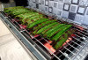 Otak-Otak Ikan Panganan Nikmat Berbuka